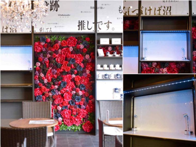 【金沢散歩】推し茶しか勝たん！『推し活専門店オシアド金沢』が大優勝