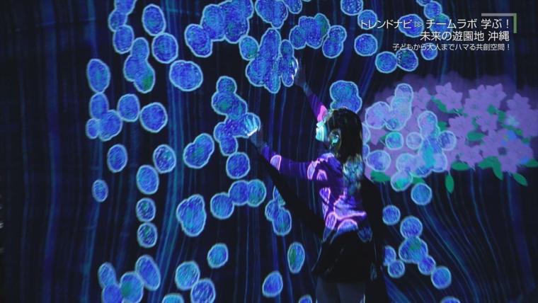 チームラボ　学ぶ！未来の遊園地　沖縄