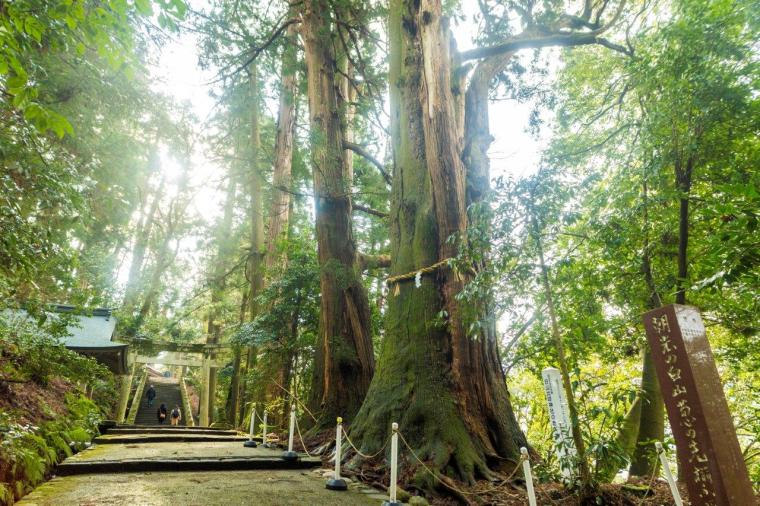 創業江戸末期の料理旅館「川魚・山菜料理 和田屋」で白山麓の恵みを堪能