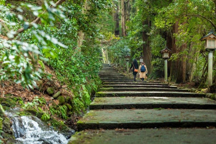 創業江戸末期の料理旅館「川魚・山菜料理 和田屋」で白山麓の恵みを堪能