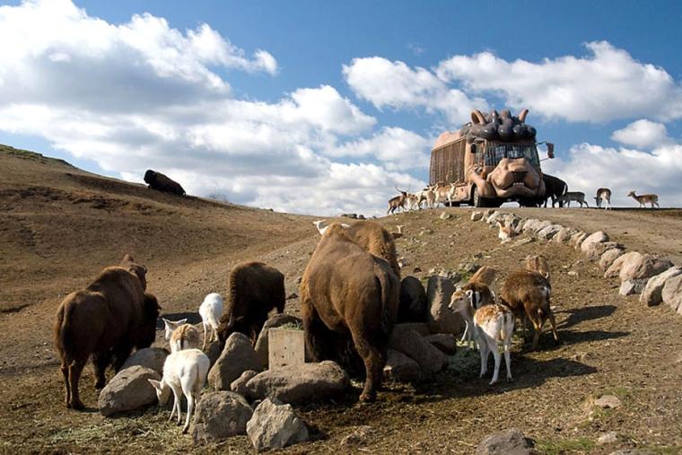 九州自然動物公園 アフリカンサファリ