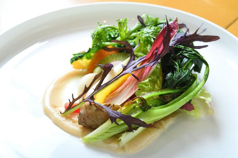 ヤマガタサンダンデロ