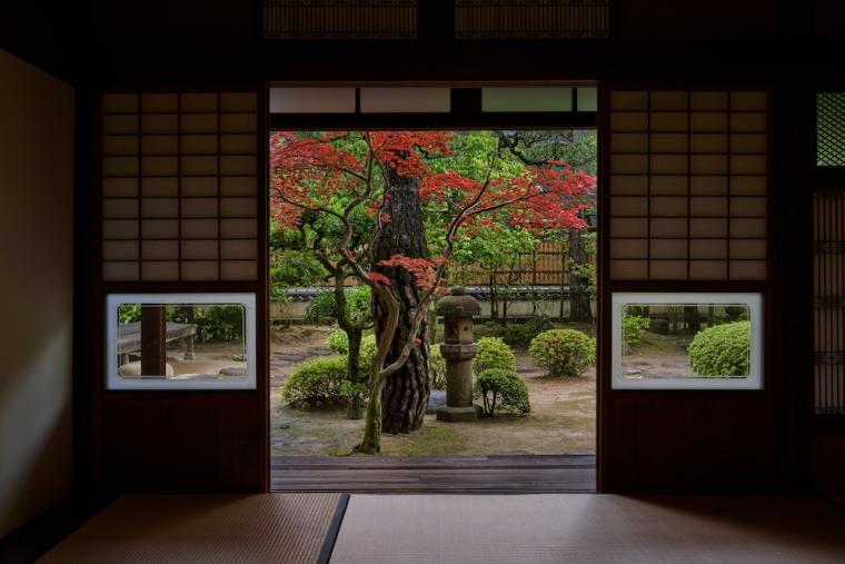 フロントから眺める庭園