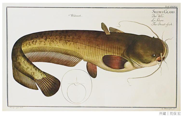 「átoa LAB」展示資料