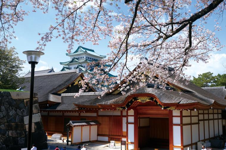 幻想的な夜桜ライトアップや楽しいイベント満載「名古屋城 春まつり」開催中