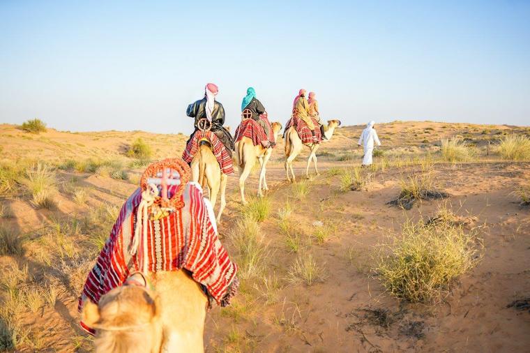 デザートサファリ