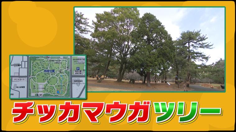 別府公園