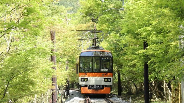 叡山電鉄の新緑運転