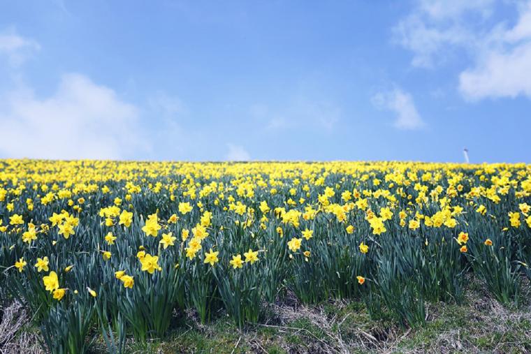 びわ湖バレイ夏