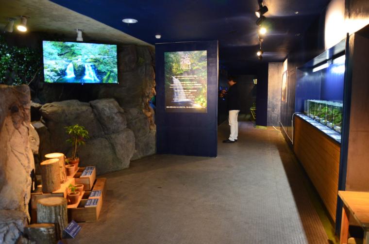 オオサンショウウオと対面！三重県名張市・赤目四十八滝門前に「赤目滝水族館」が開館