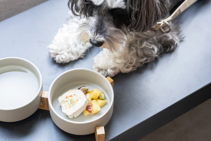 hotel anddoggy京都二条