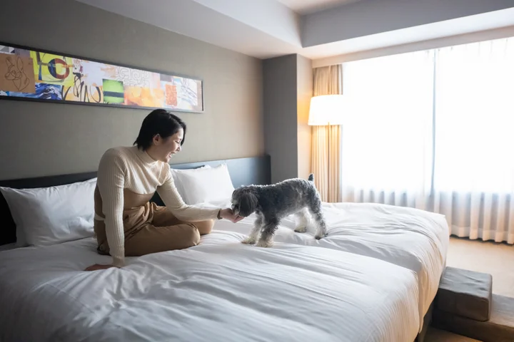 hotel anddoggy京都二条