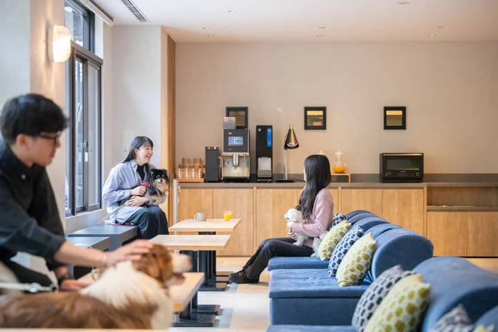 hotel anddoggy京都二条