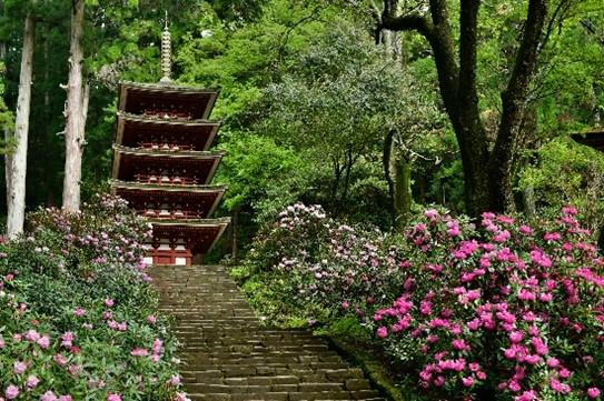 JR東海「いざいざ奈良」室生寺