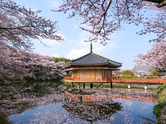 JR東海「いざいざ奈良」安倍文殊院