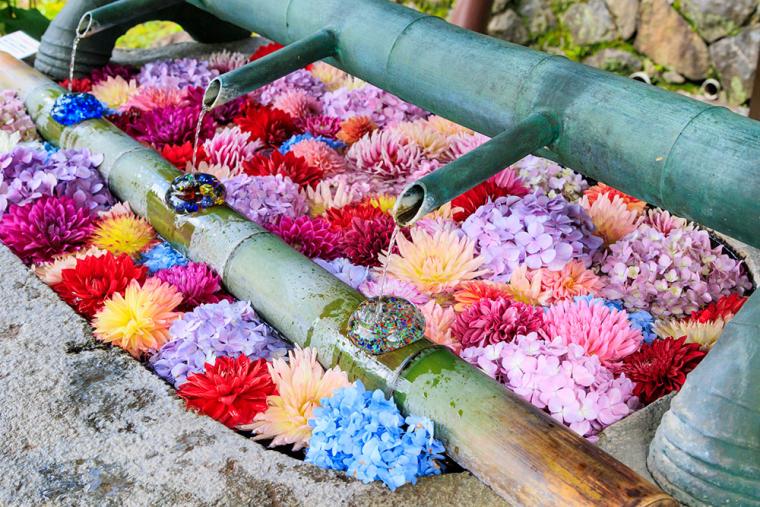 長谷寺 花手水