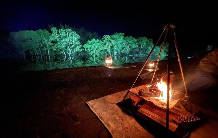 国内外でSNS席巻の2ヶ月限定の映え絶景！山形・白川湖水没林でライトアップ開催