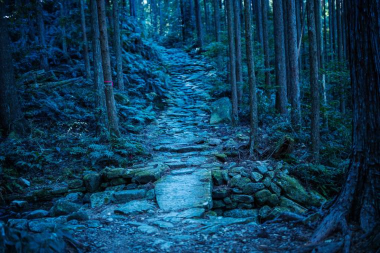 熊野古道 馬越峠
