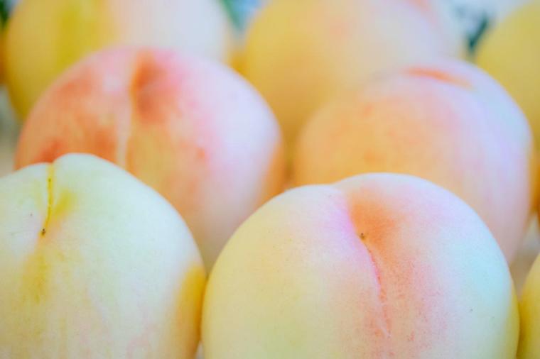 岡山県で食べたい！ご当地グルメ・旅めしランキング 