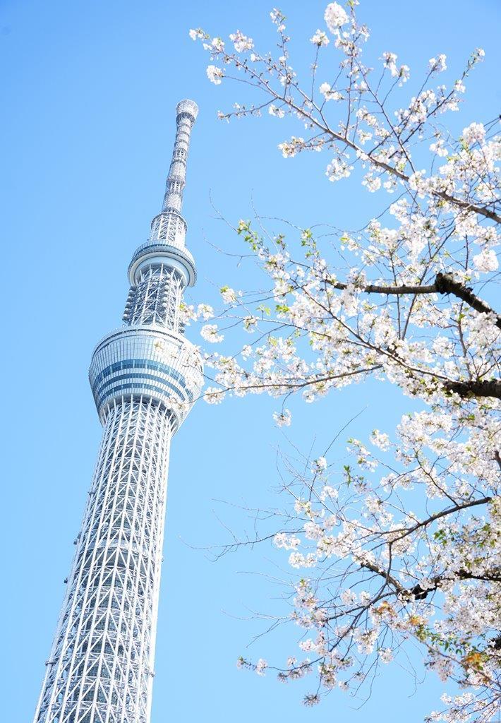 東武ホテルレバント東京