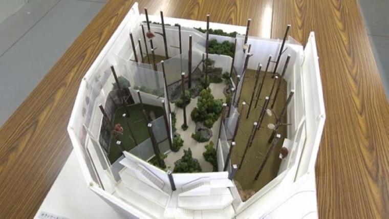 【最新スポット】もうすぐ会える！オランウータンの森に込められた動物園の使命…お客さんがスコール体験も【札幌・円山動物園】