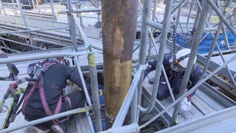 【最新スポット】もうすぐ会える！オランウータンの森に込められた動物園の使命…お客さんがスコール体験も【札幌・円山動物園】