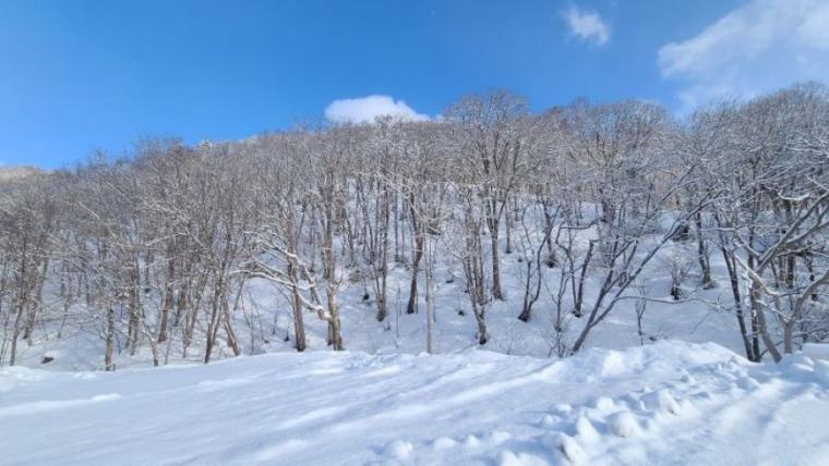 札幌から列車で約5時間かけて…“温泉が苦手”な私が、人生で初めて「日本最北端の温泉郷」に行ってみた【#豊富町の“あずましい”日々①】