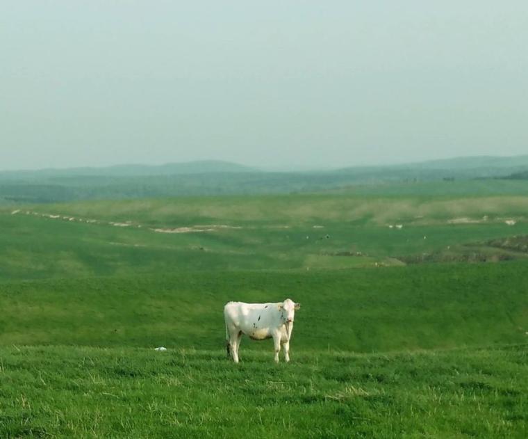 「心も身体も癒されて…」札幌から列車で約5時間かけて…“温泉が苦手”な私が、人生で初めて「日本最北端の温泉郷」に行ってみた【豊富町の“あずましい”日々②】