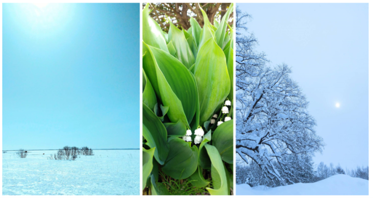 「心も身体も癒されて…」札幌から列車で約5時間かけて…“温泉が苦手”な私が、人生で初めて「日本最北端の温泉郷」に行ってみた【豊富町の“あずましい”日々②】