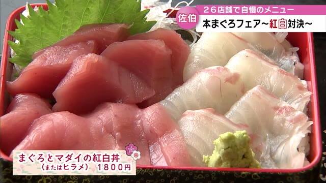 「佐伯本まぐろフェア～紅白対決～」開催　佐伯市内26店舗で自慢のメニューが味わえる