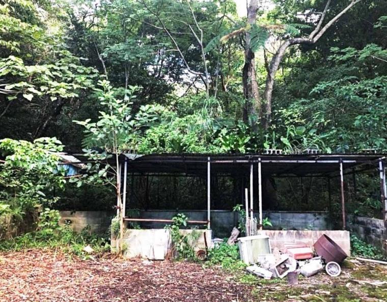 小学校の跡地に誕生した楽園『BUNA SAUNA（ブナサウナ）』ブナガヤが宿るハーバルサウナ（大宜味村）