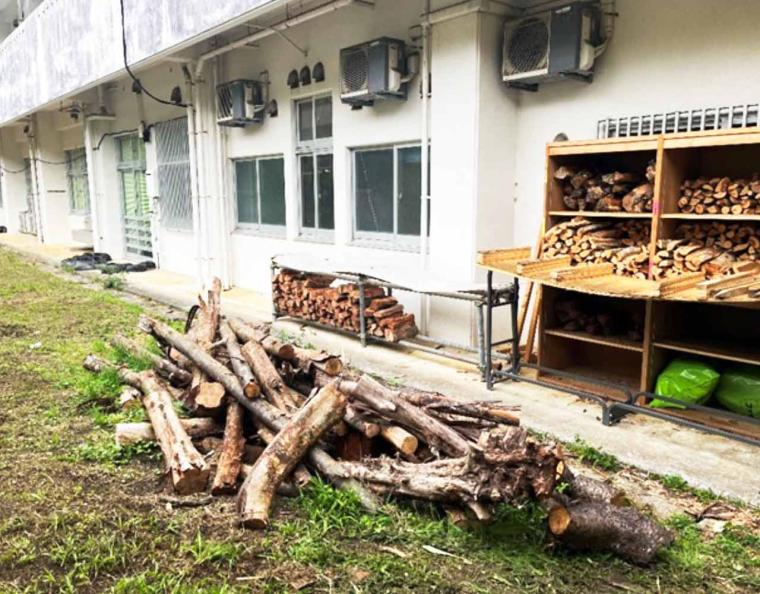 小学校の跡地に誕生した楽園『BUNA SAUNA（ブナサウナ）』ブナガヤが宿るハーバルサウナ（大宜味村）