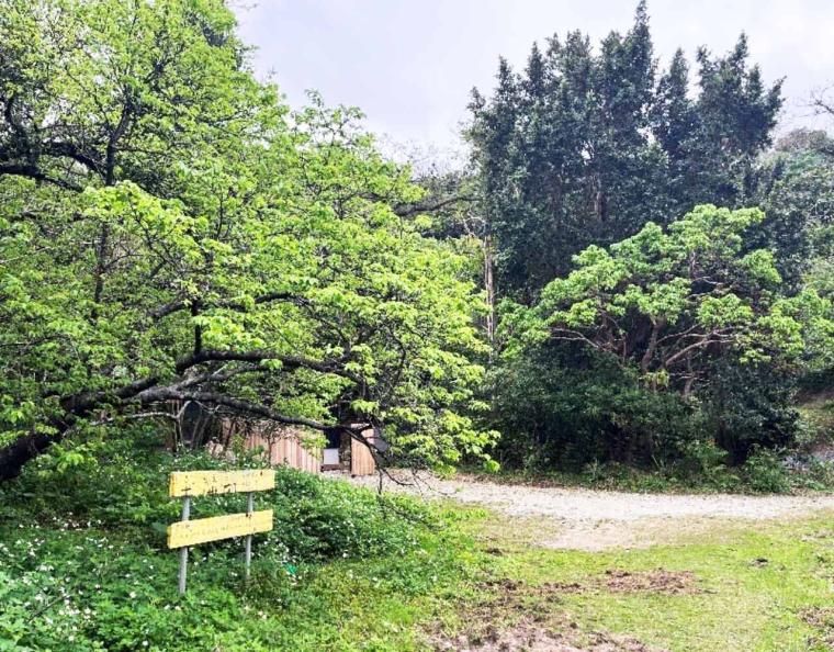 小学校の跡地に誕生した楽園『BUNA SAUNA（ブナサウナ）』ブナガヤが宿るハーバルサウナ（大宜味村）