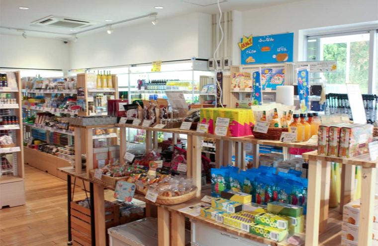 瀬長島・ウミカジテラスの楽しみ方、おすすめスポット、アクセス方法まとめ