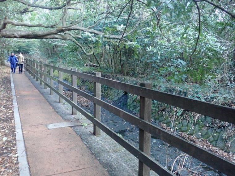 【伊東・城ヶ崎海岸】早朝がおすすめ！つり橋や自然観察路を歩く約40分コース