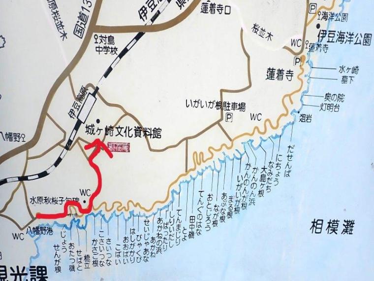 【伊東・城ヶ崎海岸】早朝がおすすめ！つり橋や自然観察路を歩く約40分コース