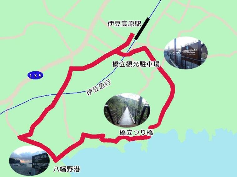 【伊東・城ヶ崎海岸】早朝がおすすめ！つり橋や自然観察路を歩く約40分コース