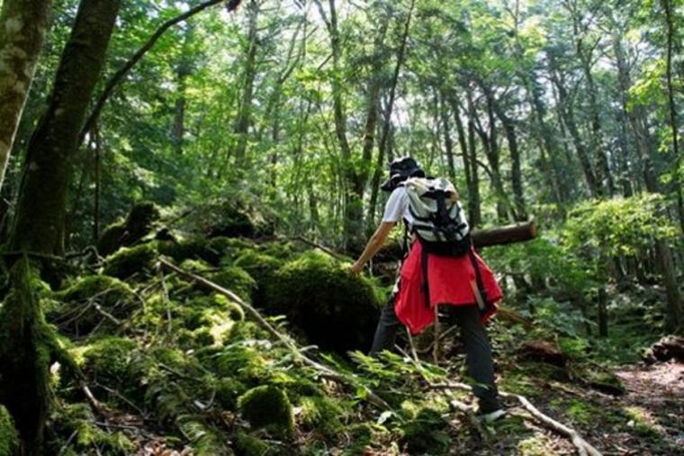 グランピングヴィラハンズ河口湖