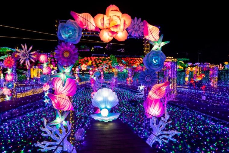 伊豆ぐらんぱる公園「伊豆高原グランイルミ」