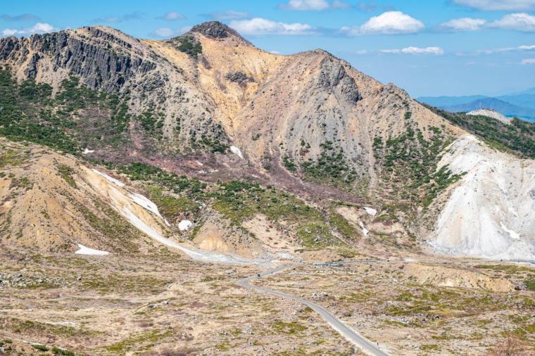 日本のアリゾナ