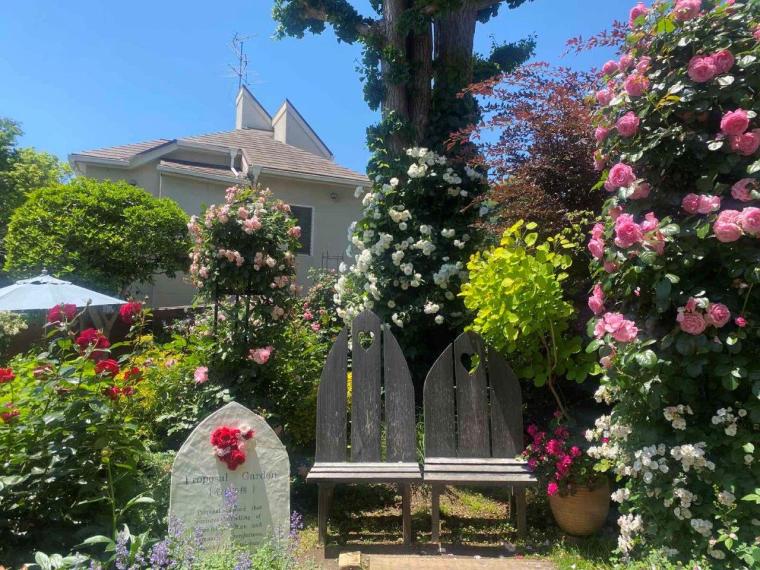 香水作りやコスプレでフォトジェニック女子旅を！神戸北野異人館でしたい６つの体験