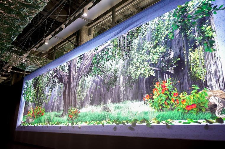 Little Universe OKINAWA