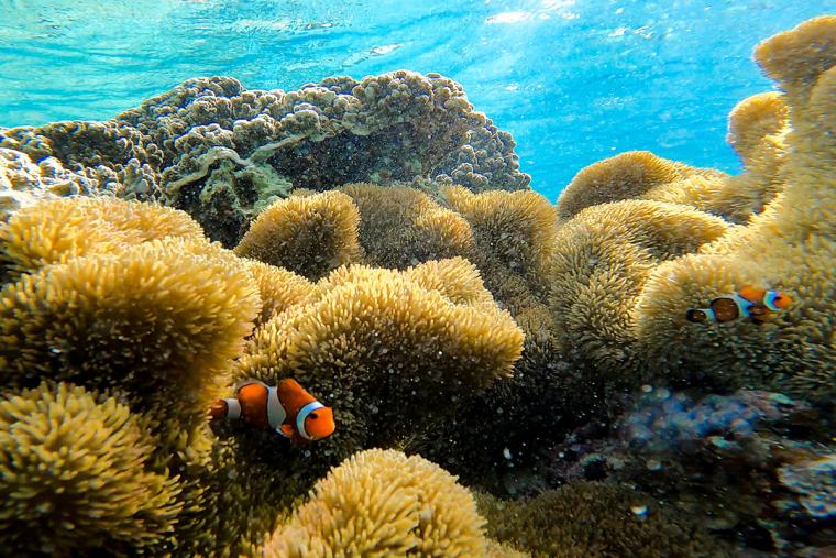 シギラミラージュビーチフロント