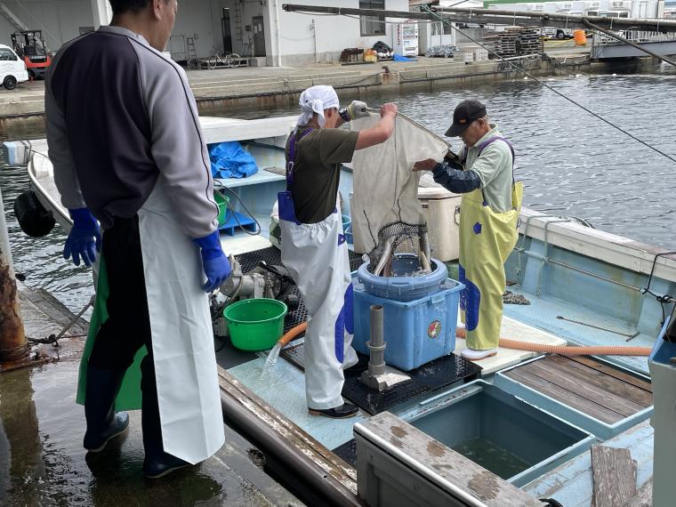 淡路島・福良漁港のハモ漁船