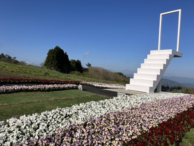 「びわこ箱館山」ビオラ×白い階段ステアーズフラワー