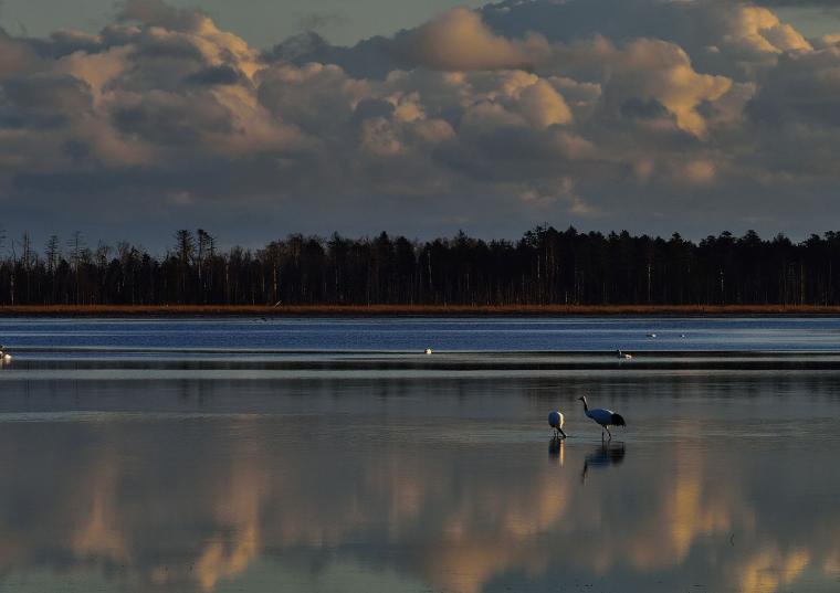 10月まで予約にて毎日運行！ねむろ半島遊覧バス「のさっぷ号」運行開始