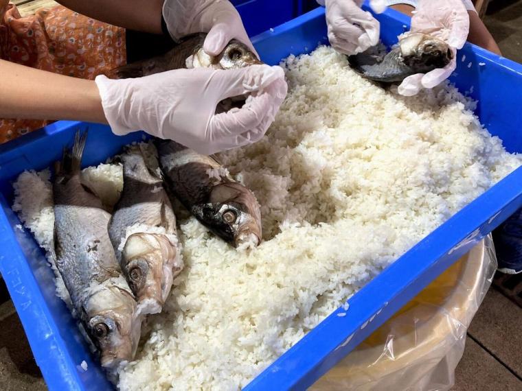 沖島・鮒ずし作り