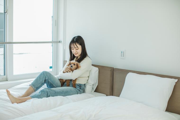 京都市内で初のペットサロン併設型ホテル「ホテルトーイン京都」がオープン