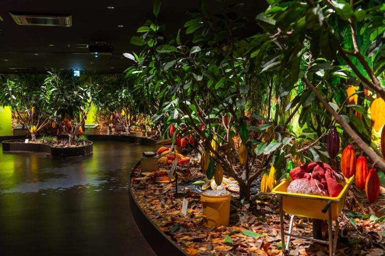 ロイズカカオ＆チョコレートタウン