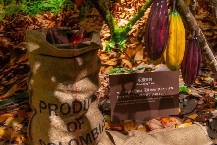 ロイズカカオ＆チョコレートタウン